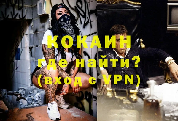гидра Алексин
