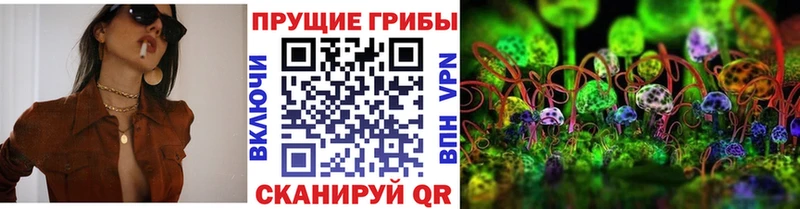 Псилоцибиновые грибы ЛСД наркотики Нея